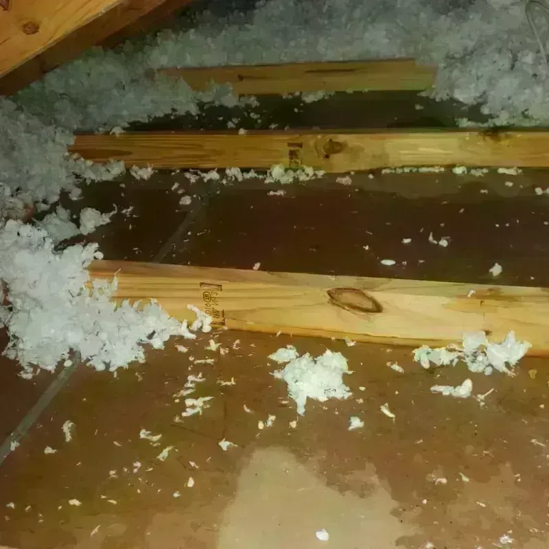 Attic Water Damage in Russellville, AL