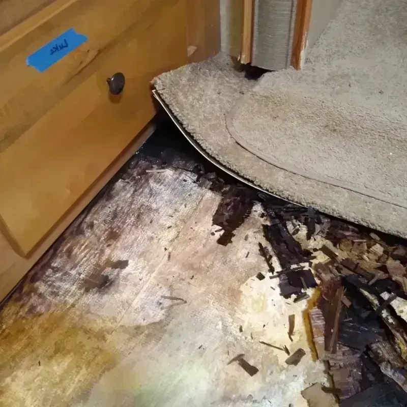 Best Wood Floor Water Damage Service in Russellville, AL